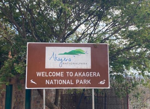 WhatsApp Image 2025-10-22 at 10.50.04