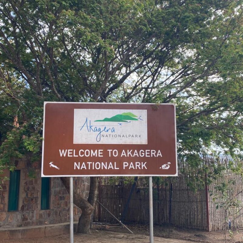 WhatsApp Image 2025-10-22 at 10.50.04